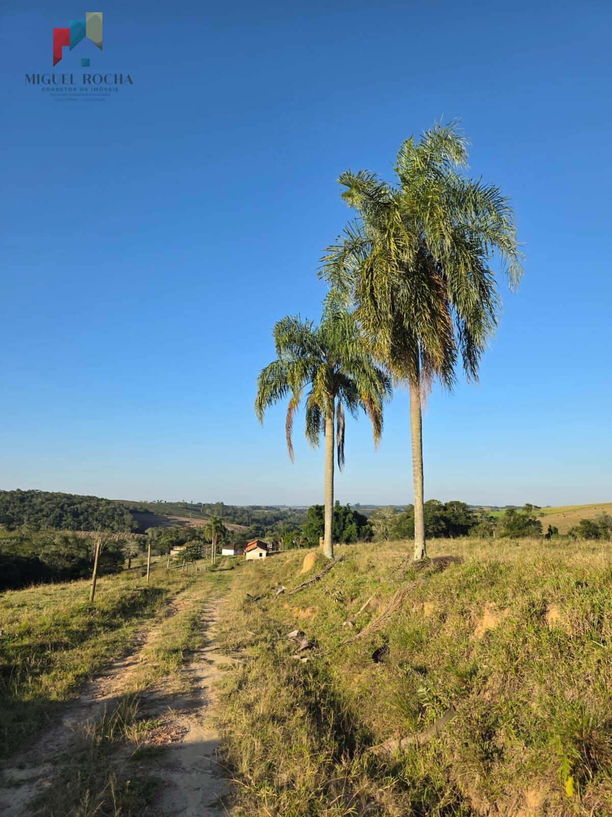 Sítio São Miguel Arcanjo SP - foto 4