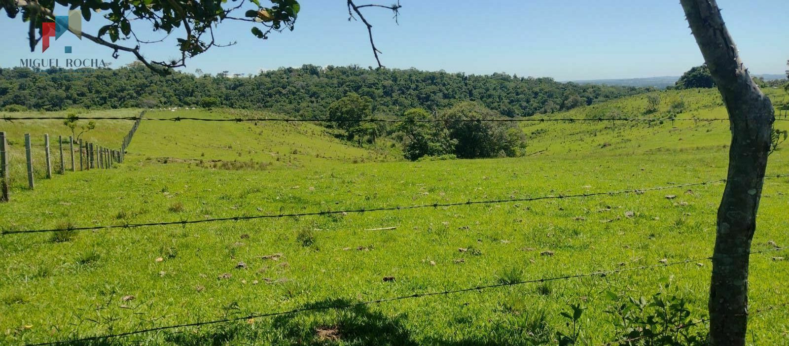 Sítio à venda no bairro Centro - Guareí/SP