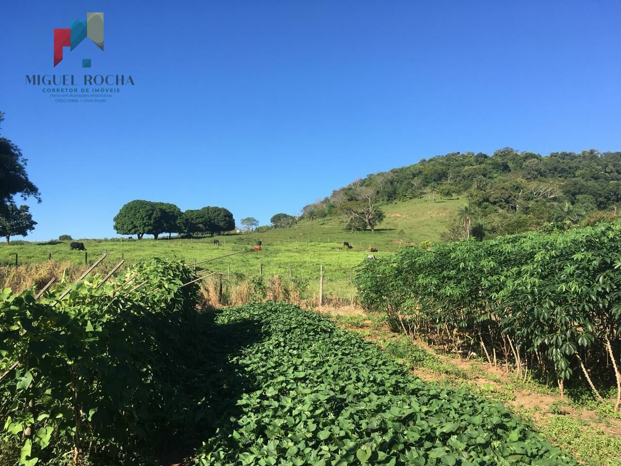 Fazenda em São Carlos SP - foto 7