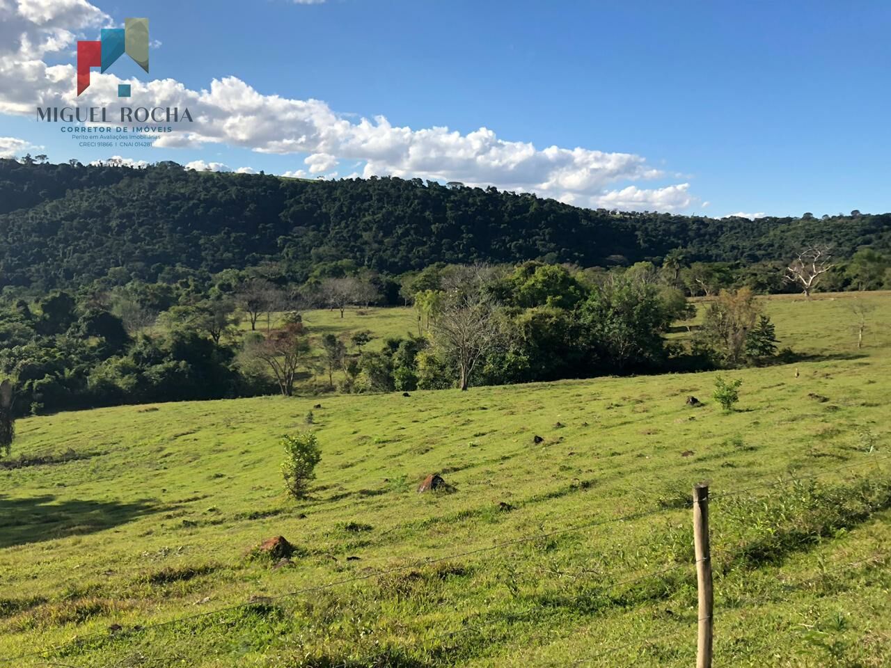 Fazenda em São Carlos SP - foto 8
