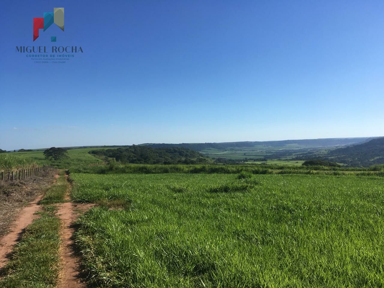 Fazenda em São Carlos SP - foto 2