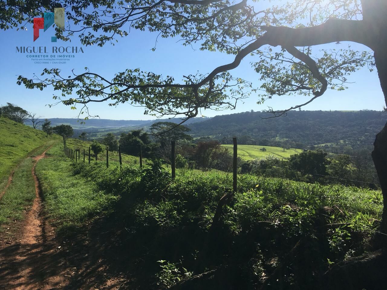 Fazenda em São Carlos SP - foto 4