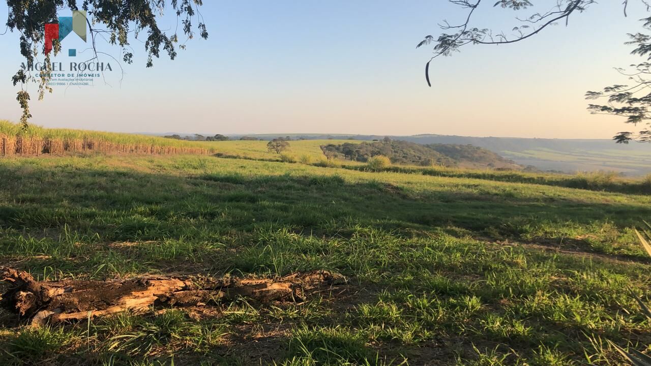 Fazenda em São Carlos SP - foto 3