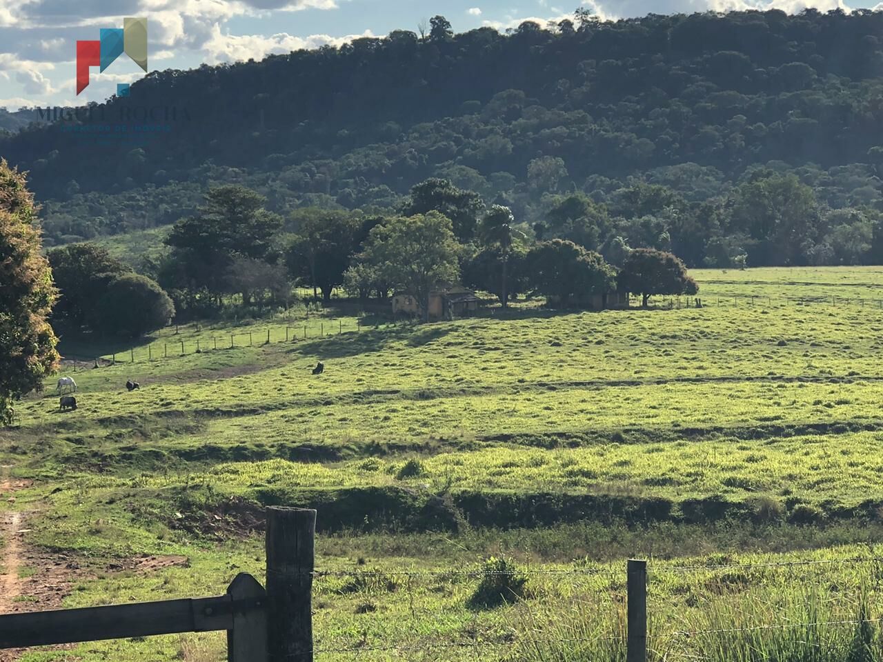 Fazenda em São Carlos SP - foto 6