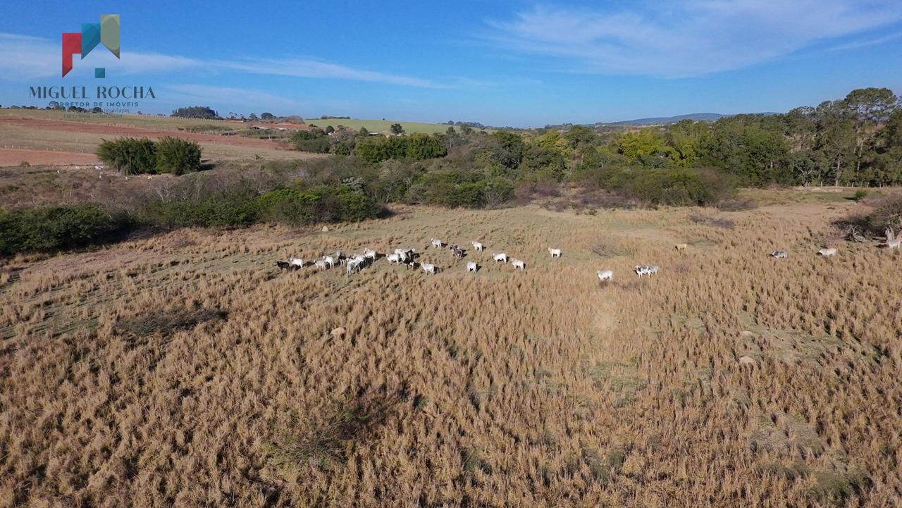 Fazenda em Área Rural de Sorocaba, Sorocaba/SP - foto 3