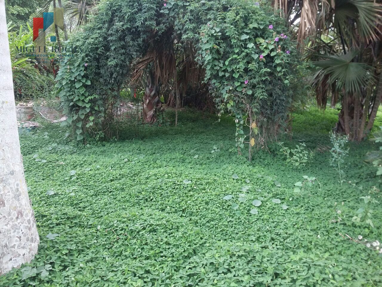 Sítio a venda em Tatuí SP
