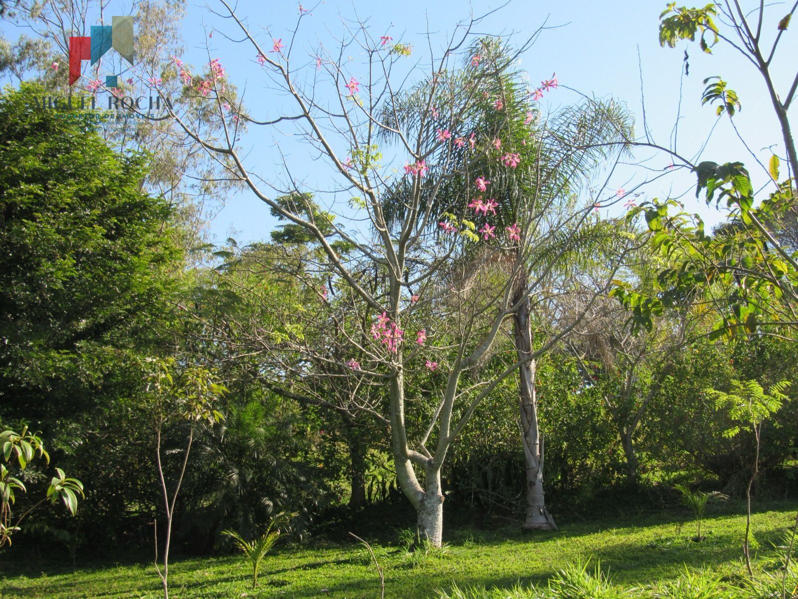 Sítio a venda em Tatuí SP