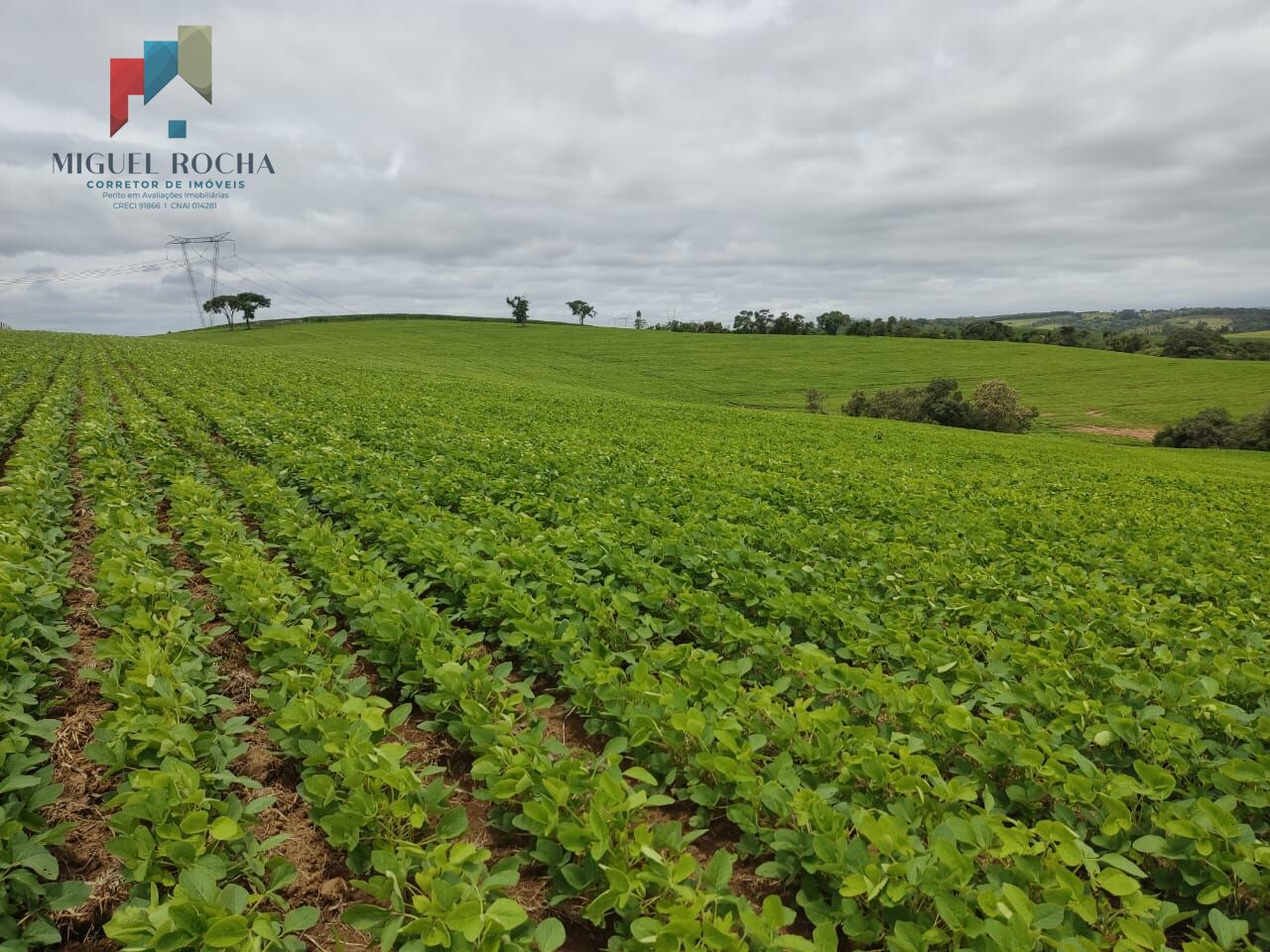 Sítio em Centro, Pilar do Sul/SP