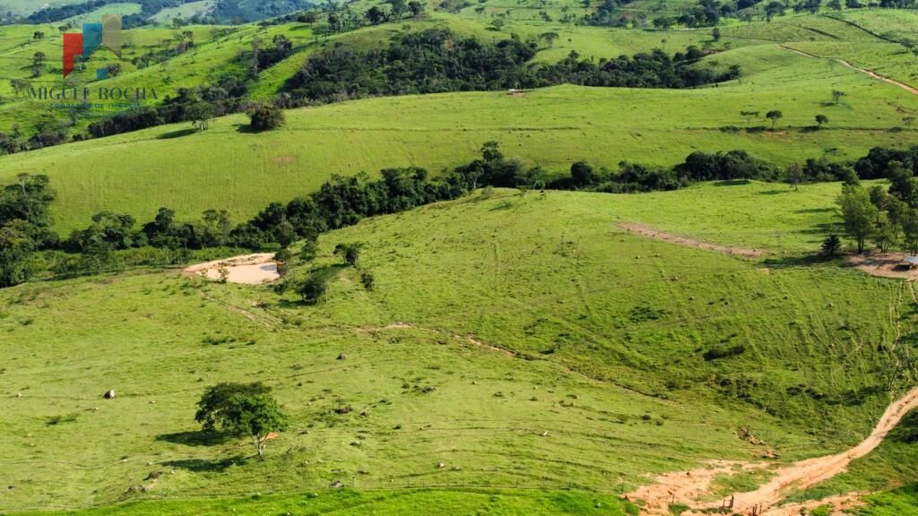 Fazenda região de Itapira SP