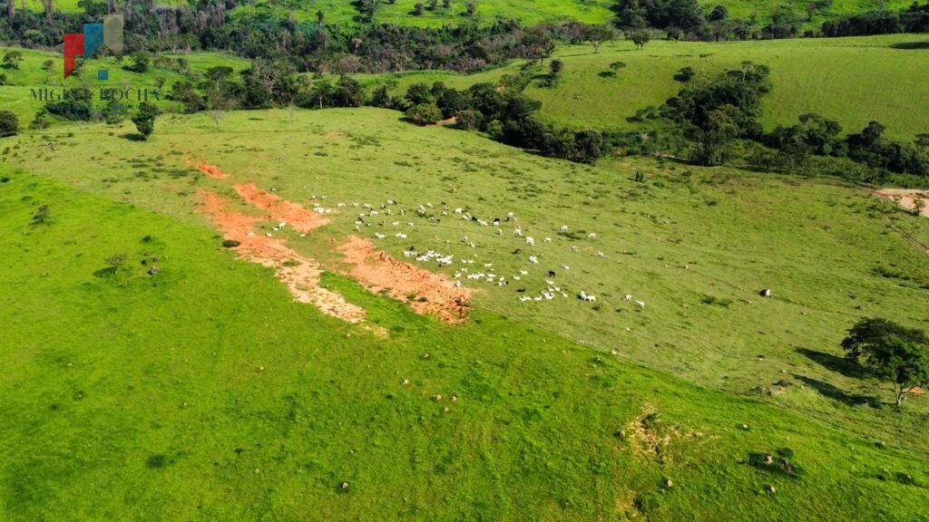 Fazenda região de Itapira SP