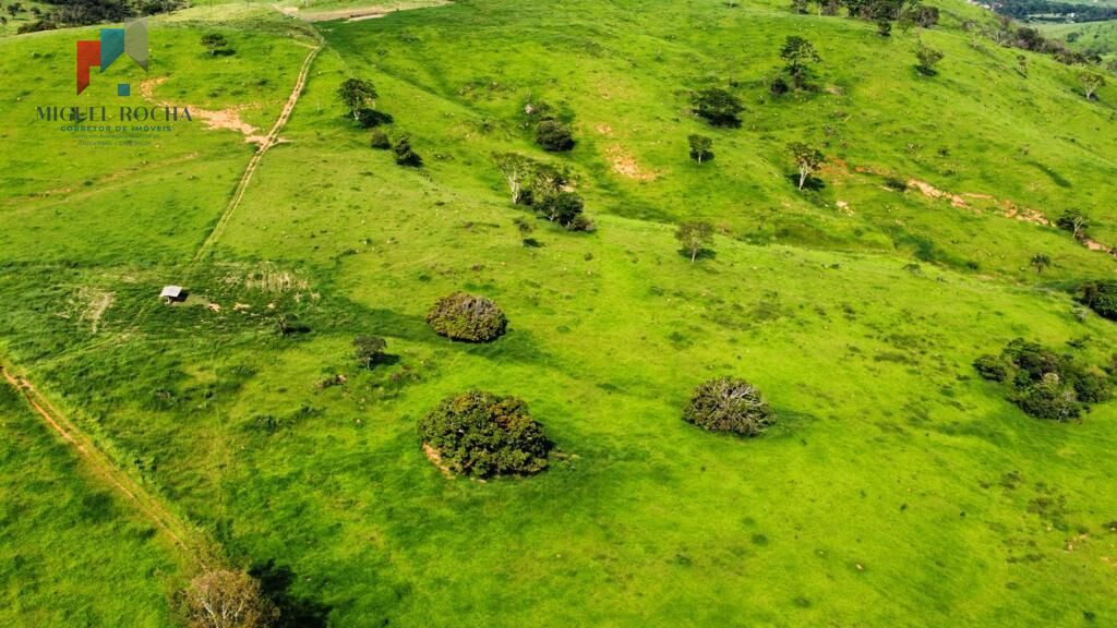 Fazenda região de Itapira SP