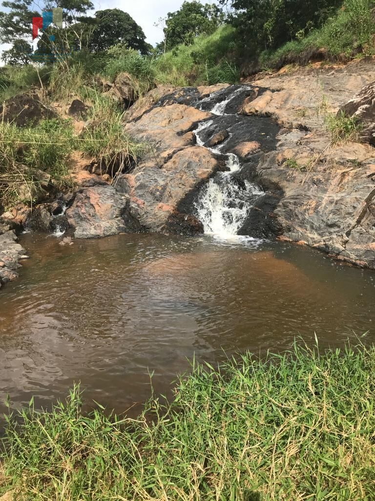 Fazenda região de Itapira SP