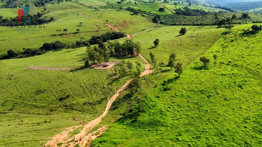 Fazenda região de Itapira SP