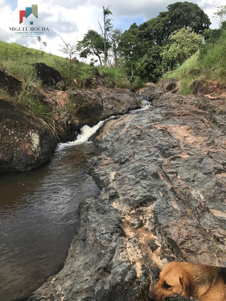 Fazenda região de Itapira SP