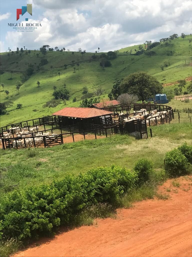 Fazenda região de Itapira SP