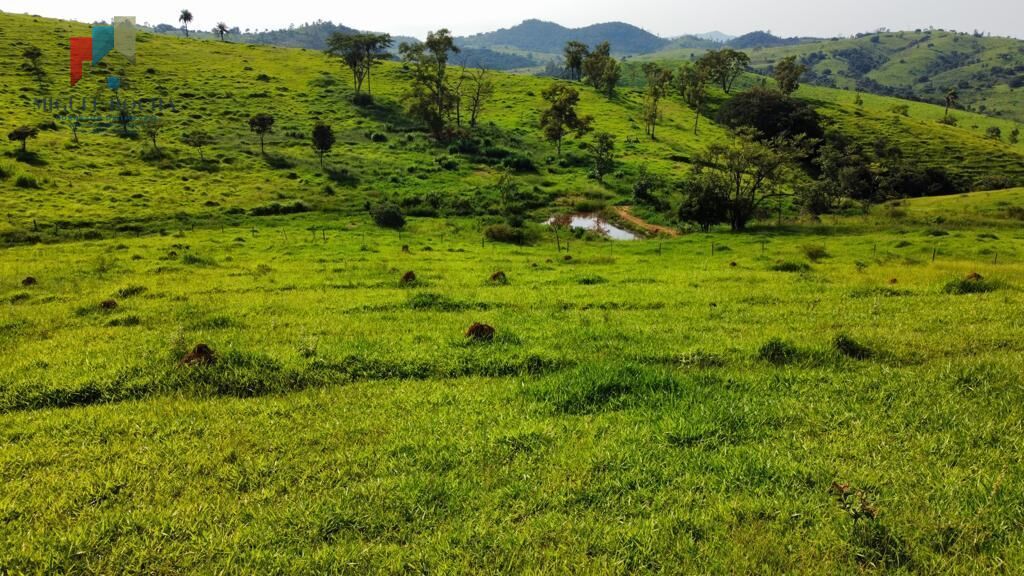 Fazenda região de Itapira SP