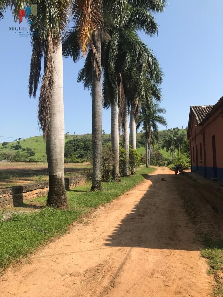 Fazenda região de Itapira SP