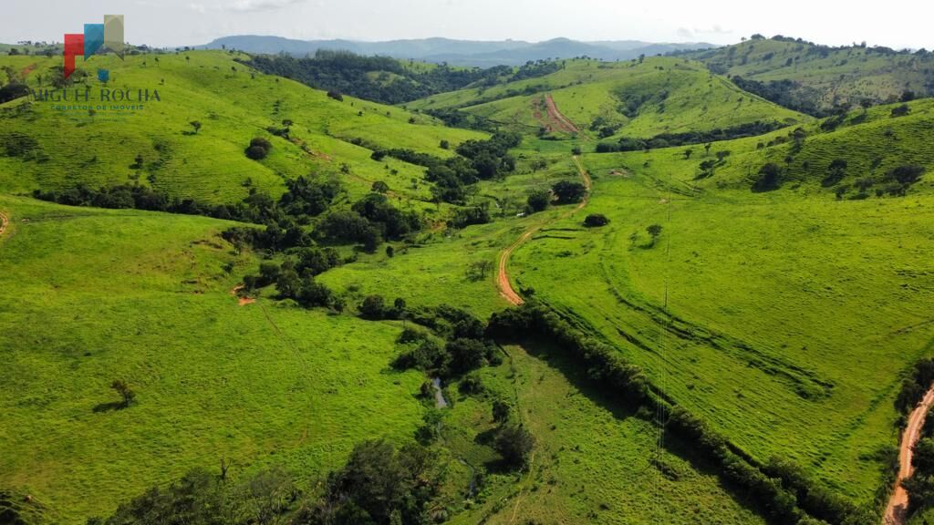 Fazenda região de Itapira SP