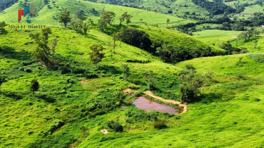 Fazenda região de Itapira SP