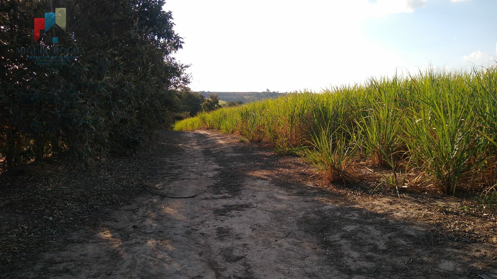 Sítio a venda em Tatuí SP