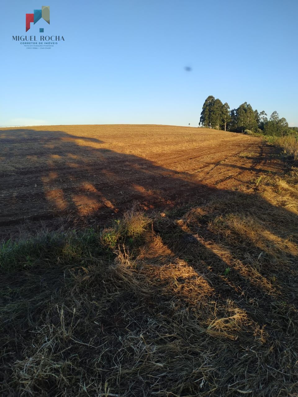 Sítio em Itapeva/SP - foto 7
