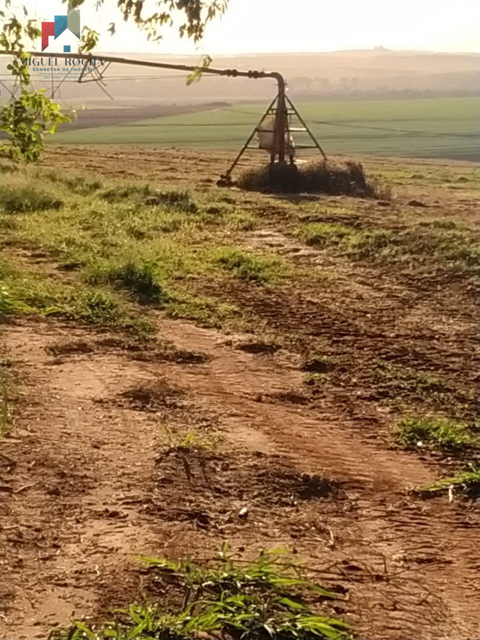 Sítio em Itapeva/SP - foto 9