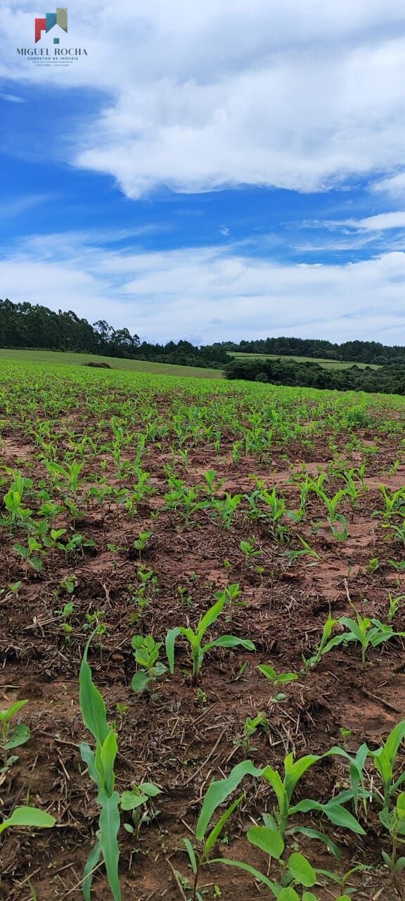 Fazenda a venda São Miguel Arcanjo SP - foto 11