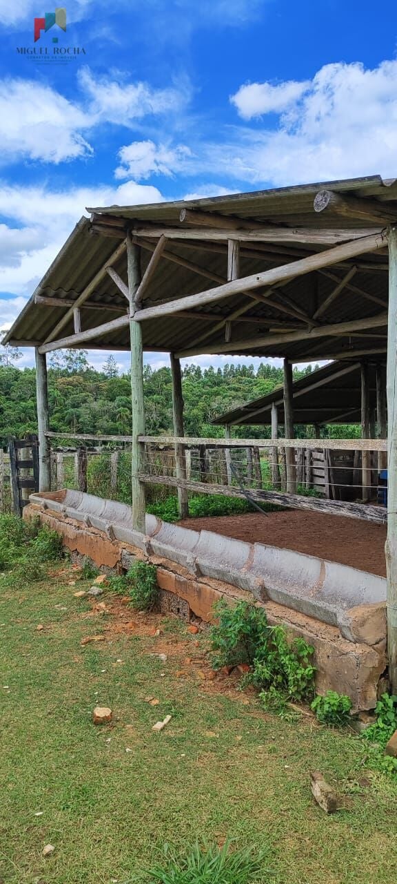 Fazenda a venda São Miguel Arcanjo SP - foto 8