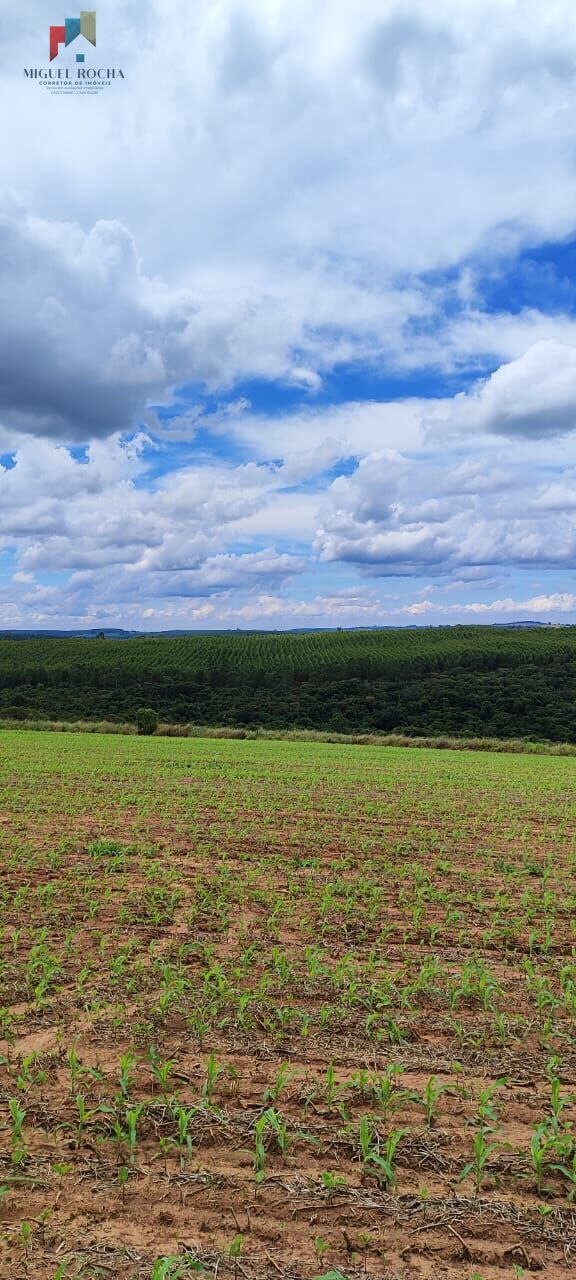 Fazenda a venda São Miguel Arcanjo SP - foto 3