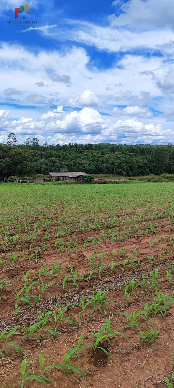 Fazenda a venda São Miguel Arcanjo SP - foto 4