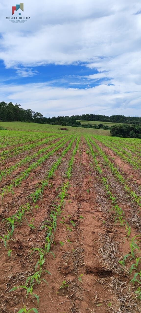 Fazenda a venda São Miguel Arcanjo SP - foto 5