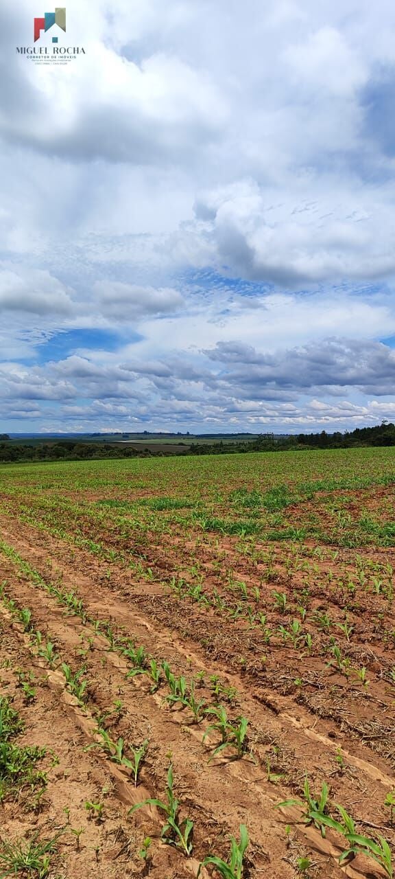 Fazenda a venda São Miguel Arcanjo SP - foto 2