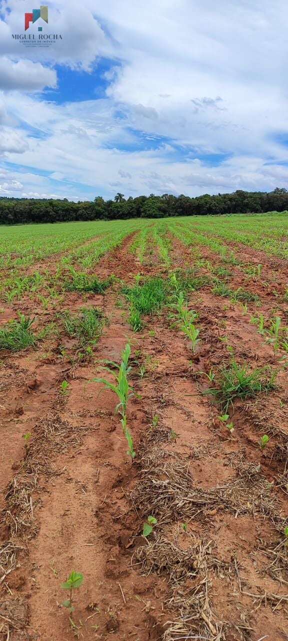 Fazenda a venda São Miguel Arcanjo SP - foto 1