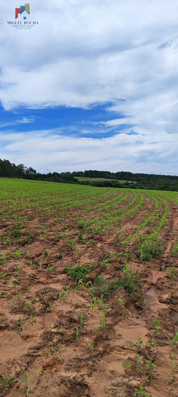 Fazenda a venda São Miguel Arcanjo SP - foto 12