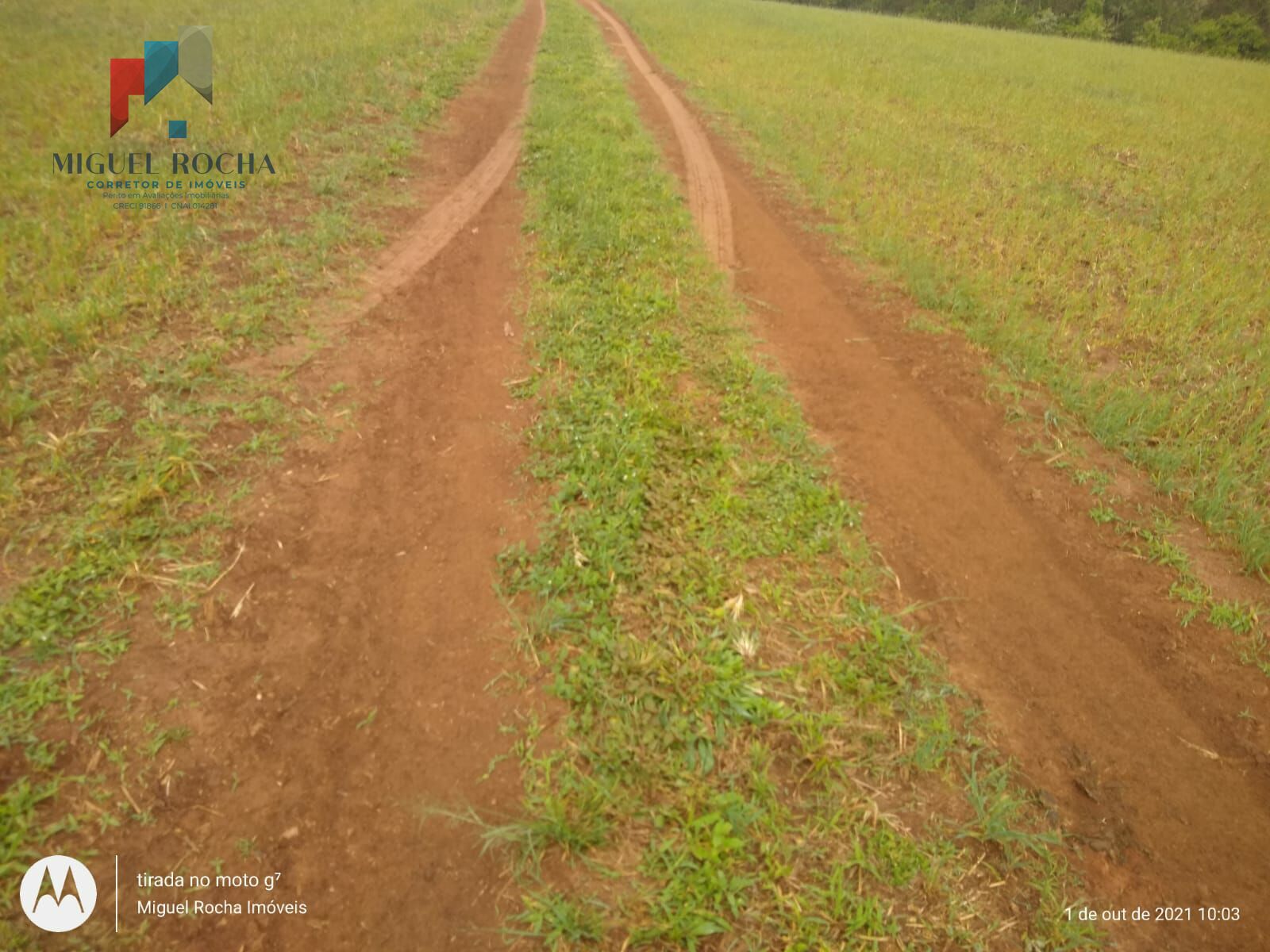 Fazenda Região de Itapetininga SP
