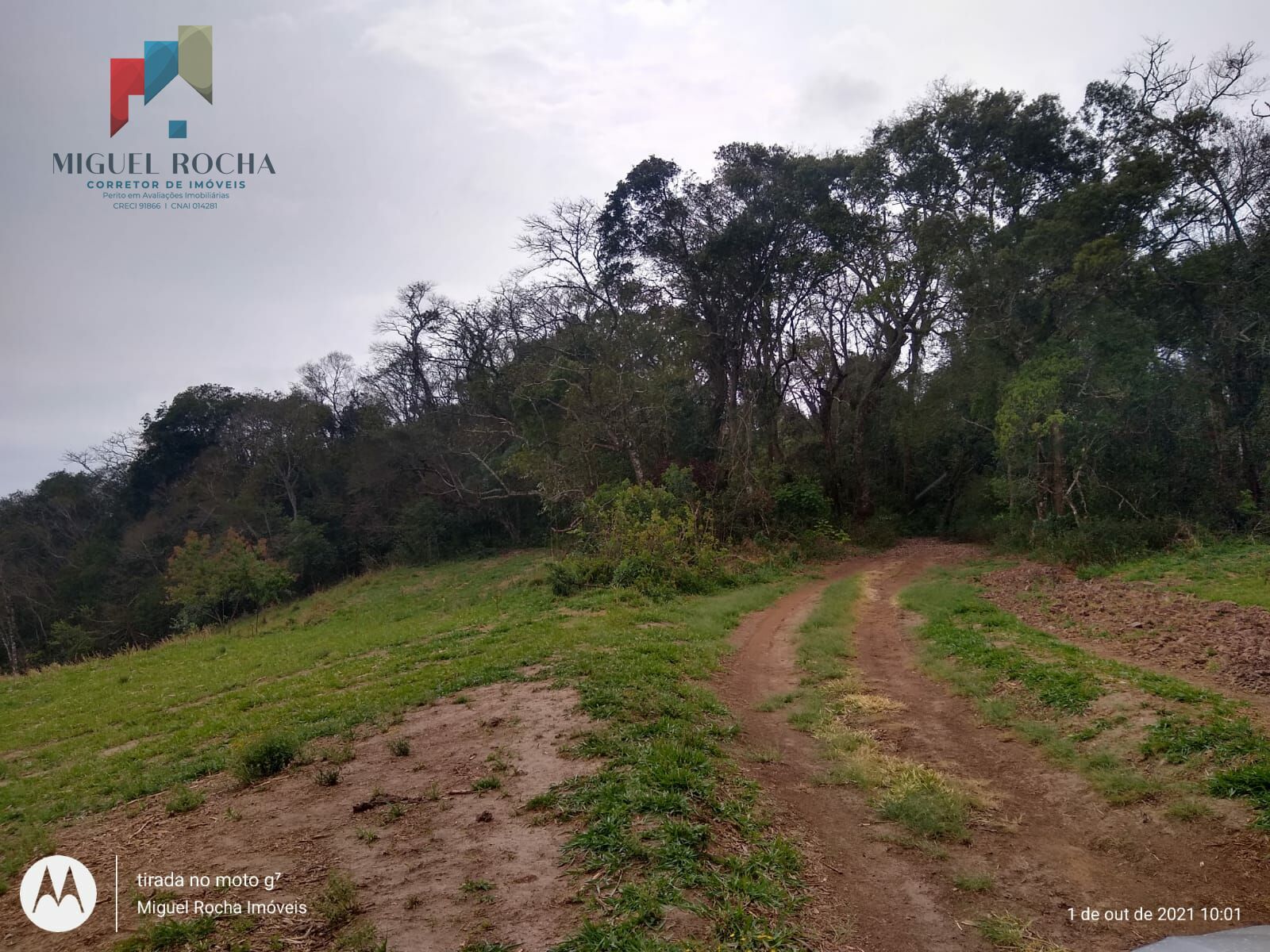 Fazenda Região de Itapetininga SP