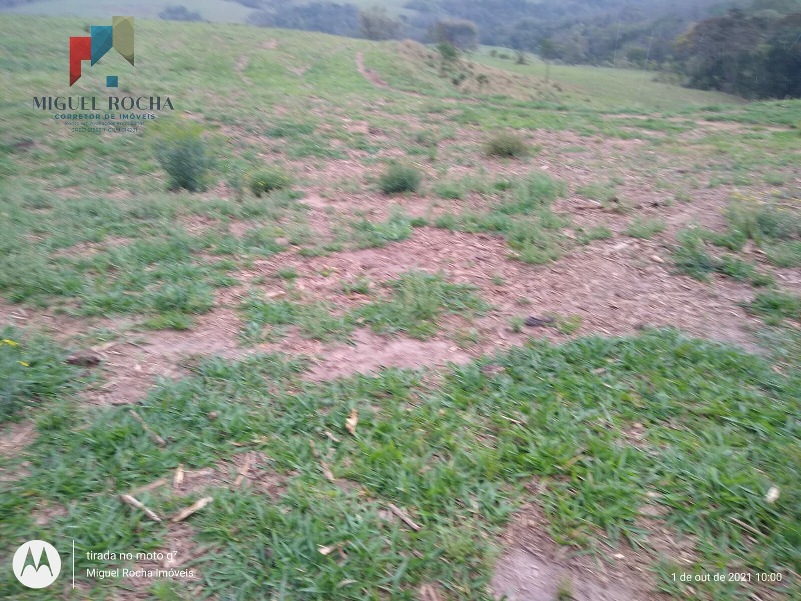 Fazenda Região de Itapetininga SP