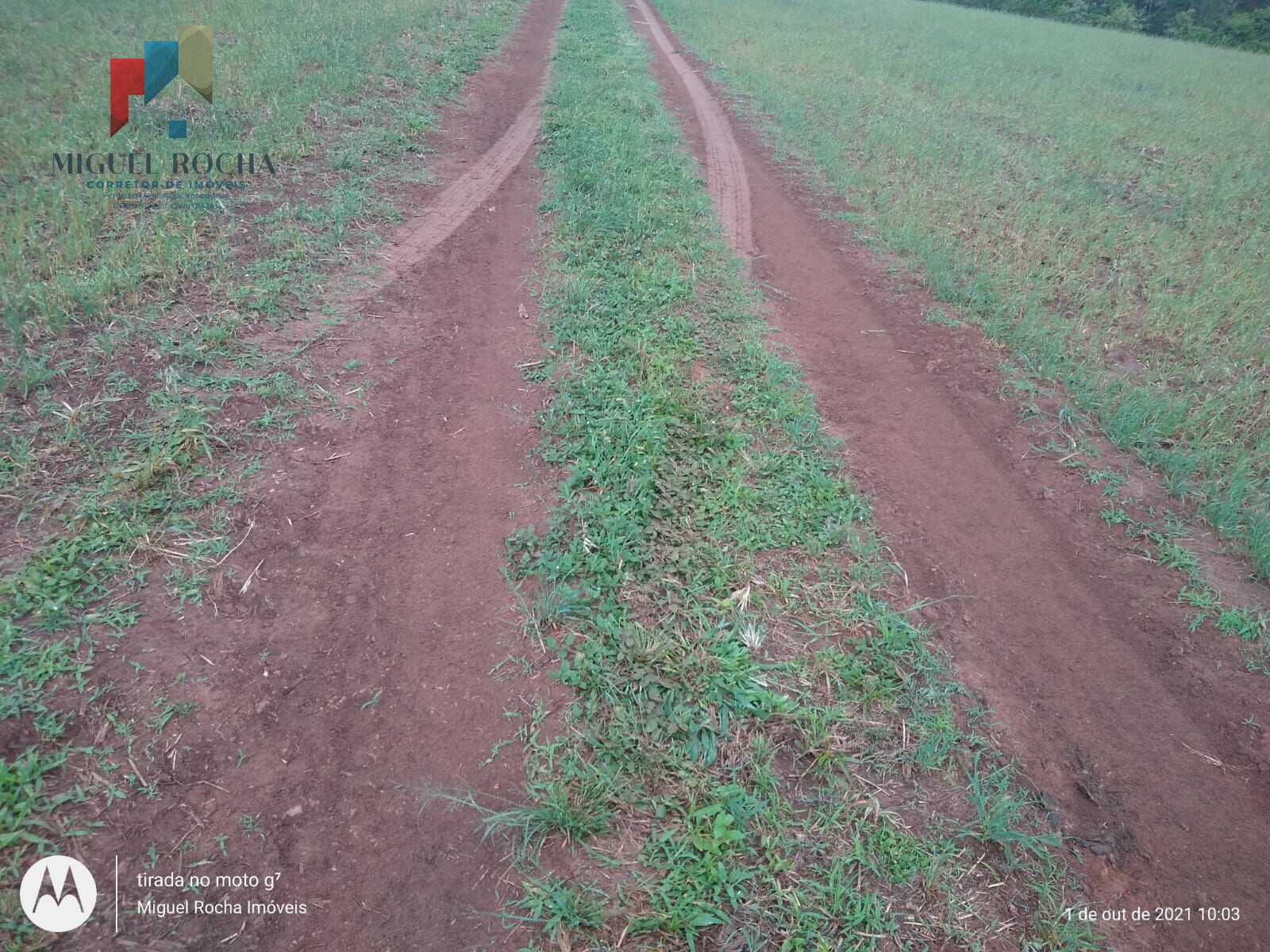 Fazenda Região de Itapetininga SP