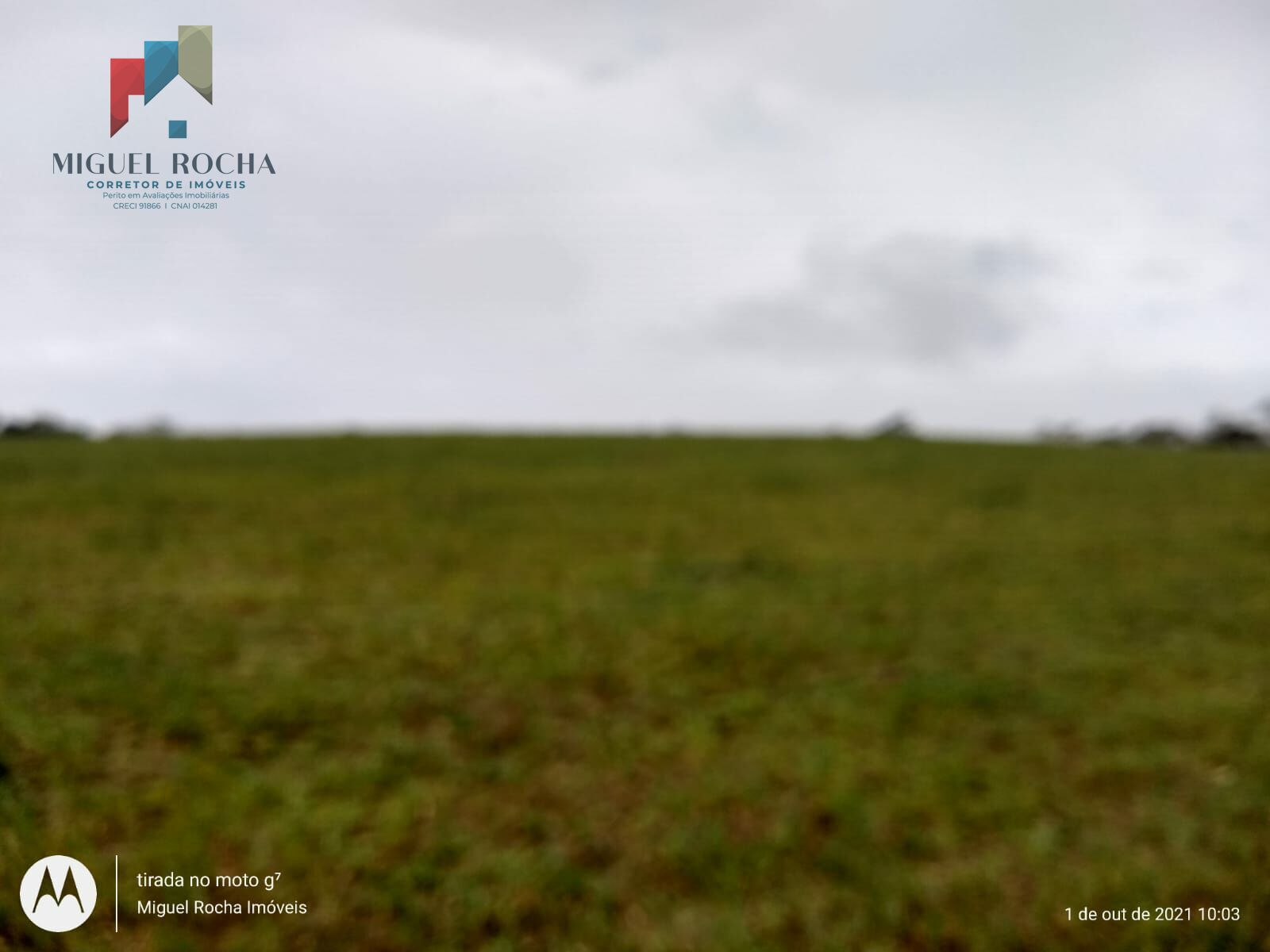 Fazenda Região de Itapetininga SP