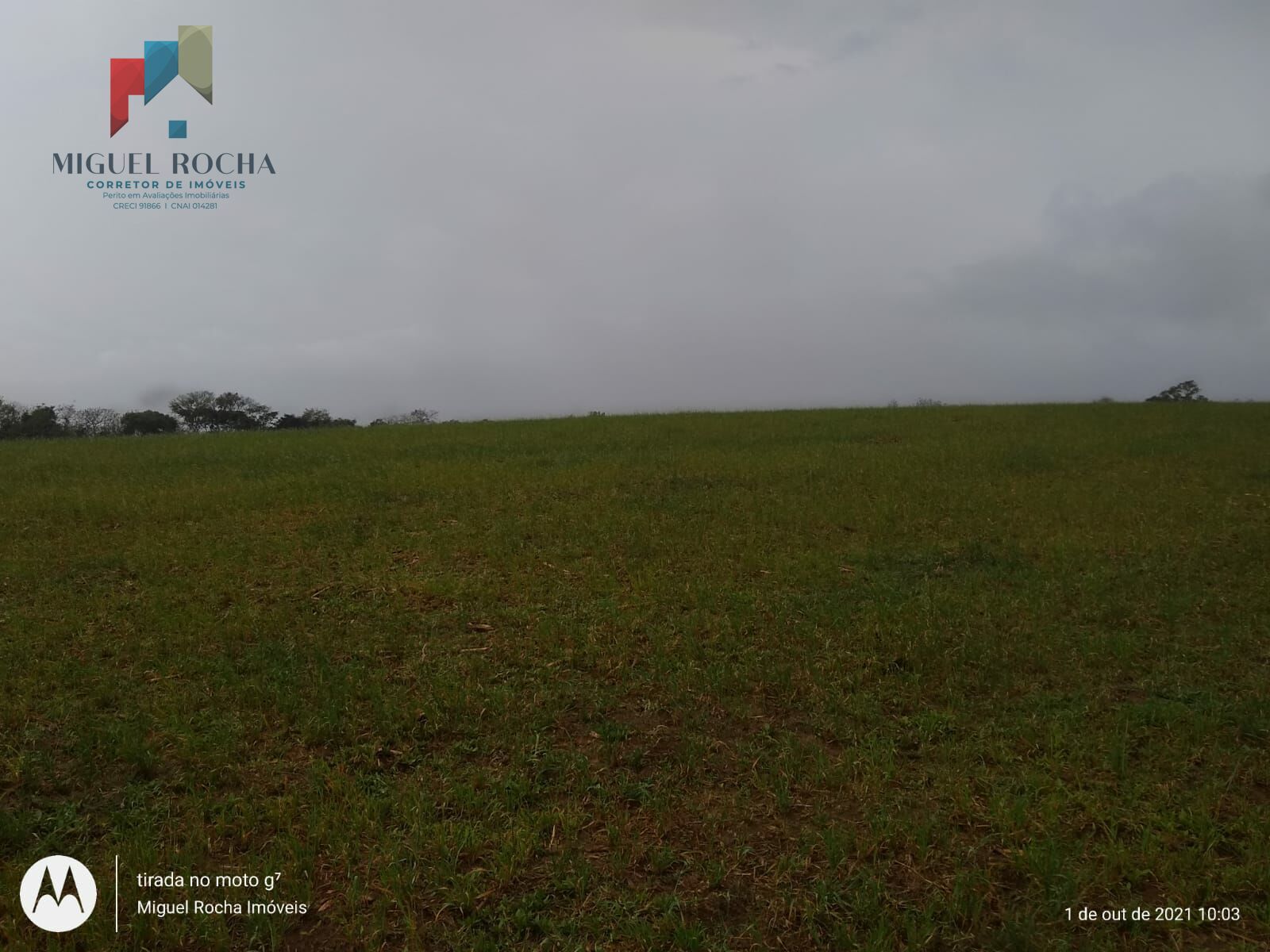 Fazenda Região de Itapetininga SP