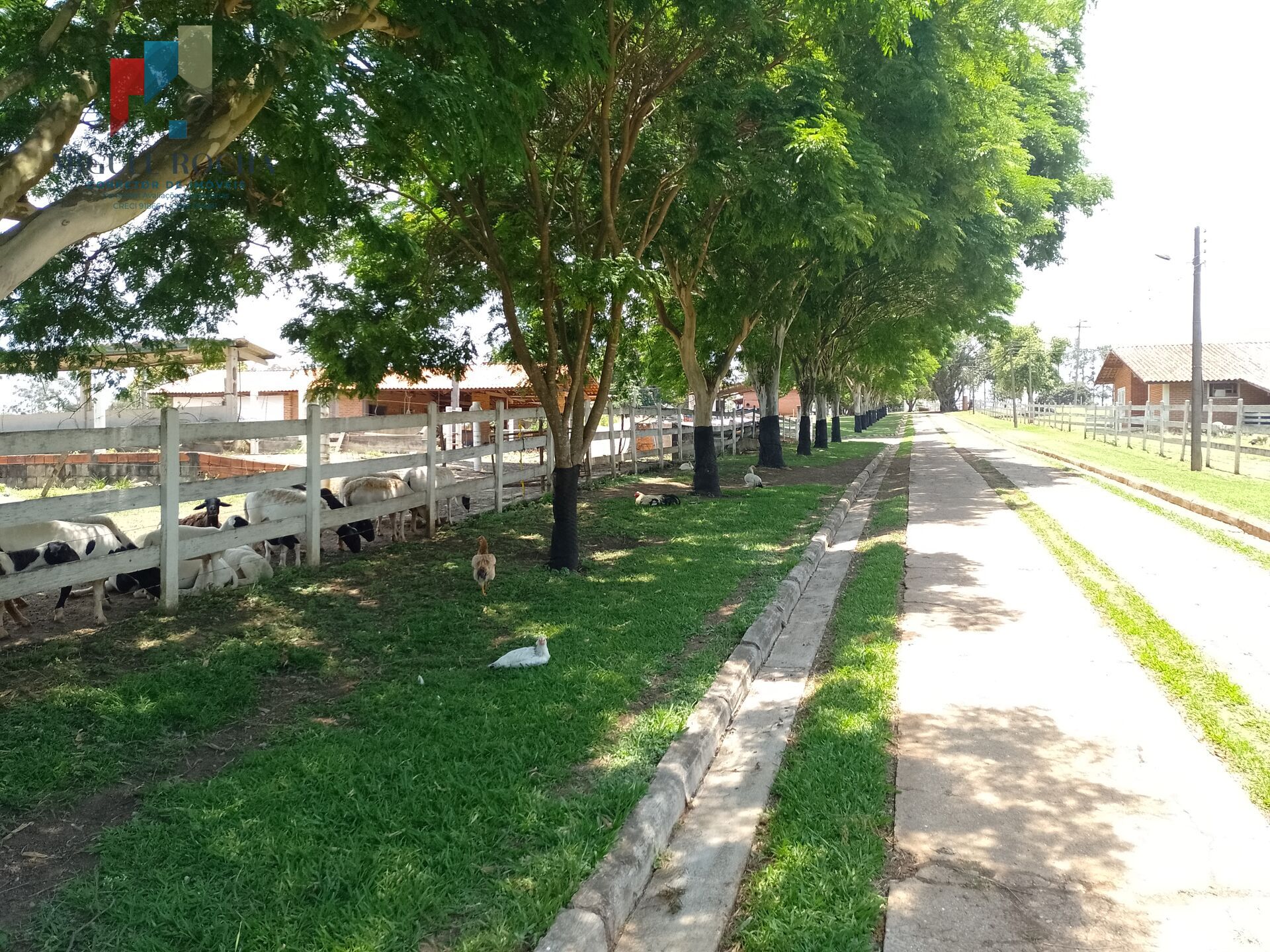 Sítio Sítio em Enxovia, Tatuí/SP
