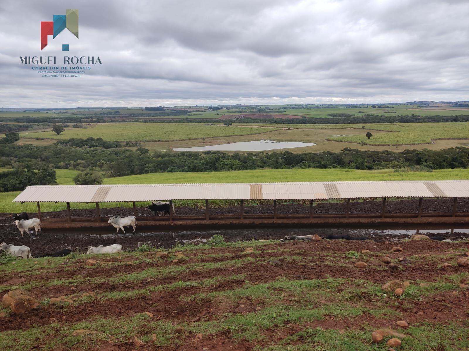 Fazenda região de Tatuí SP