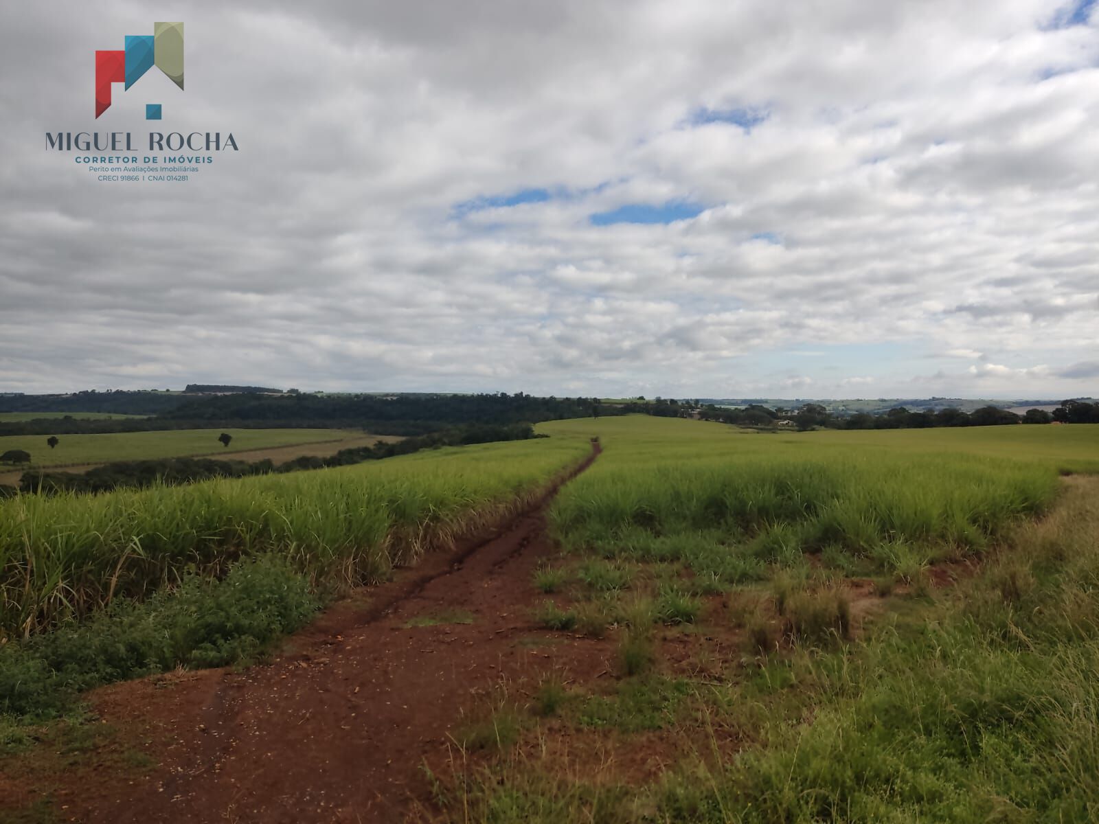 Fazenda região de Tatuí SP