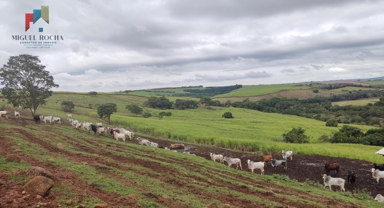 Fazenda região de Tatuí SP