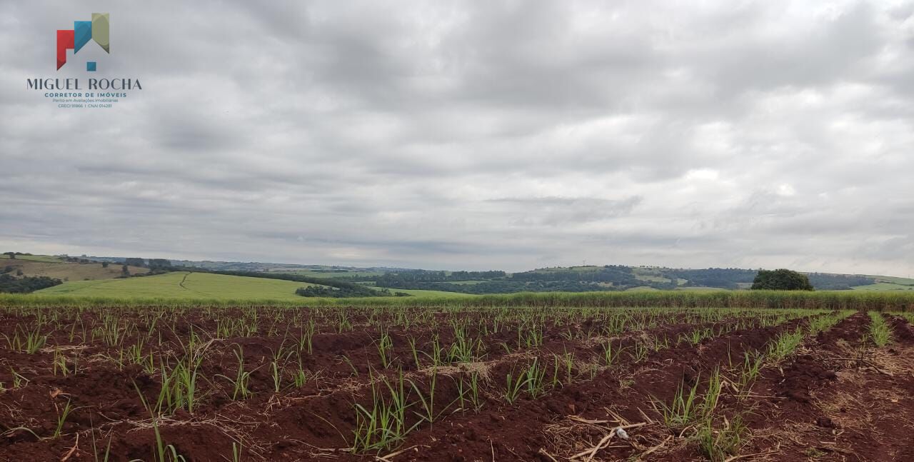 Fazenda região de Tatuí SP