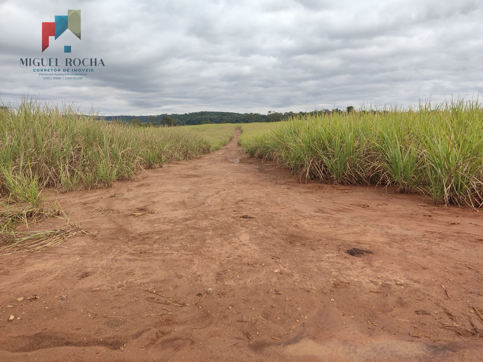 Fazenda região de Tatuí SP