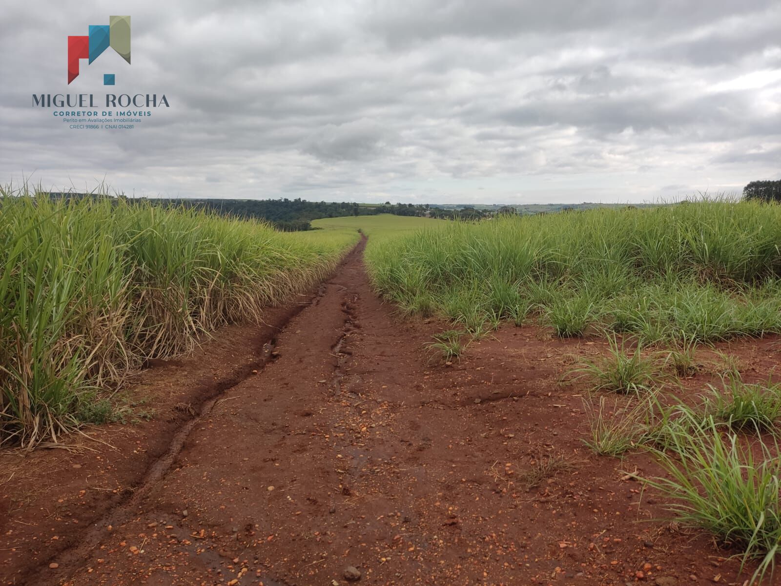 Fazenda região de Tatuí SP