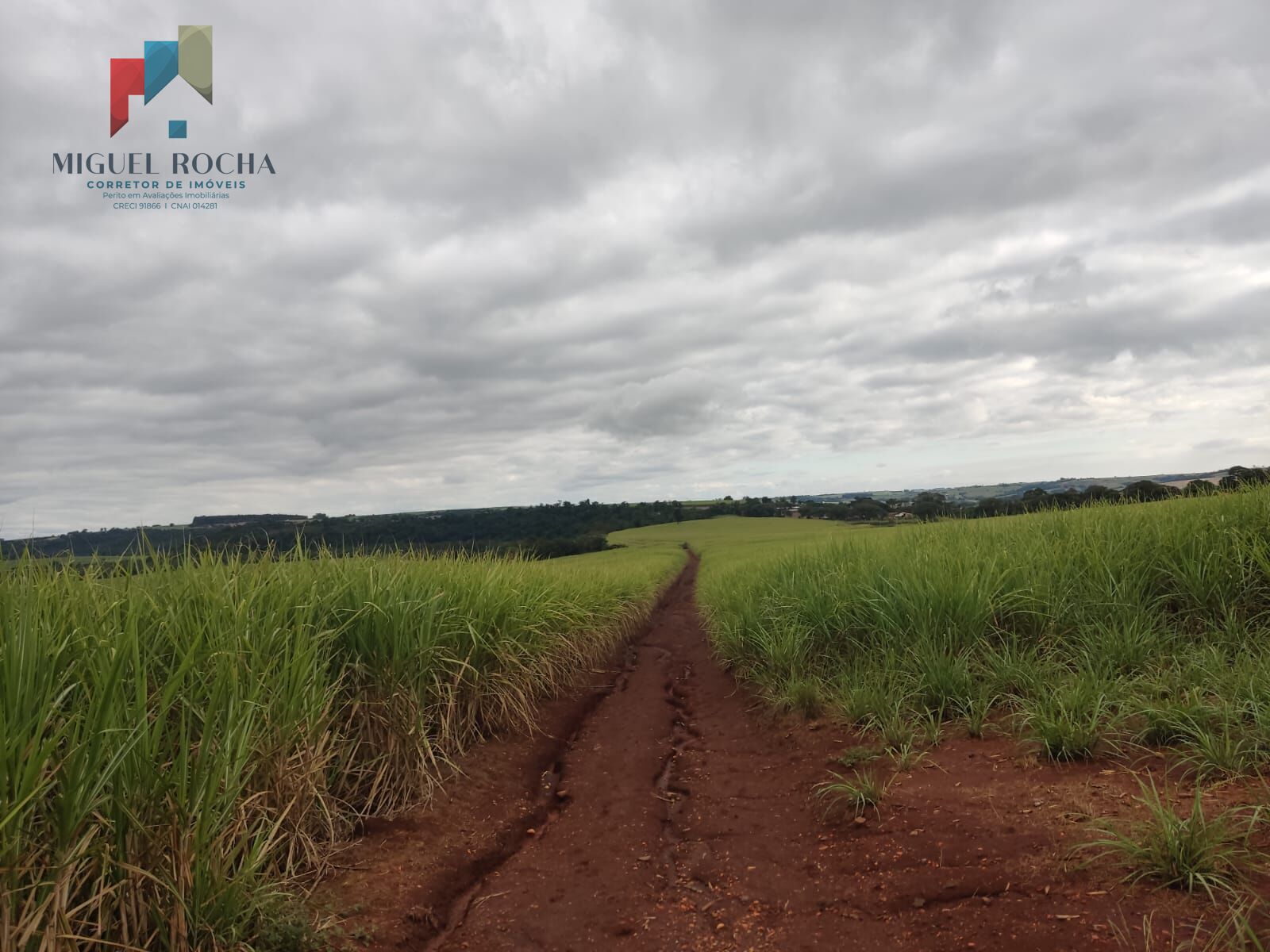 Fazenda região de Tatuí SP