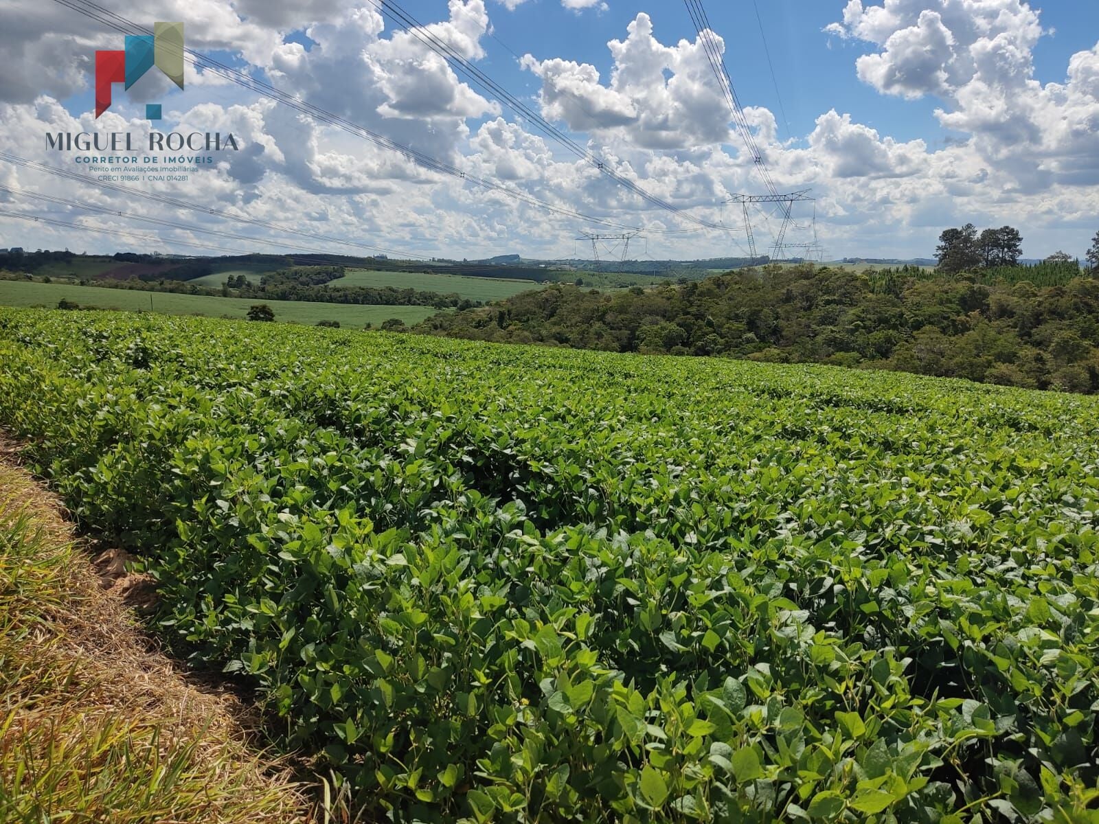 Sítio a venda região São Miguel Arcanjo SP - foto 4