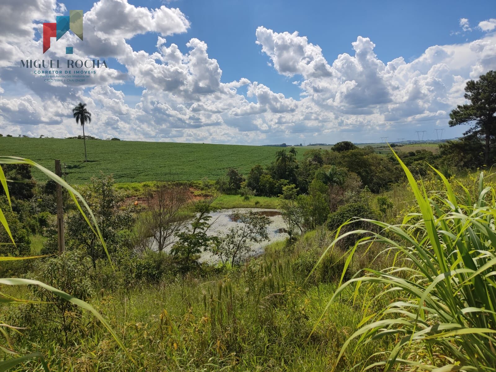 Sítio a venda região São Miguel Arcanjo SP - foto 3